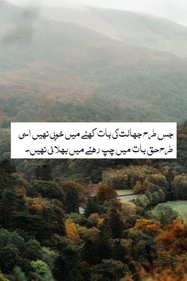 Inspirational Islamic Quotes in Urdu with Beautiful Images