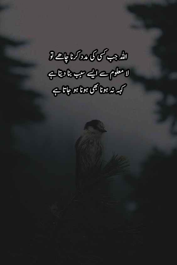 Islamic Quotes Urdu free download “Best islamic quotes with images