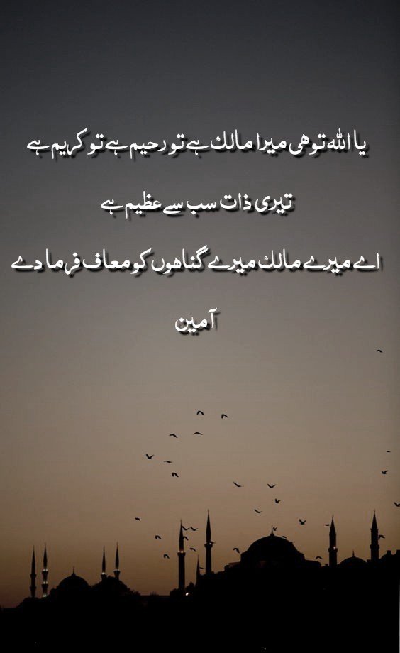 Islamic Quotes Urdu free download “Best islamic quotes with images