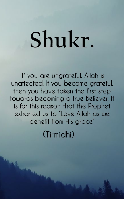 Shukr - Islamic Quotes in Englsih