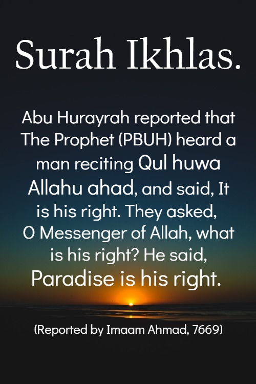 Quran & Hadith Quotes in English | Islamic Quotes