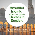 45+ Quran & Hadith Quotes in English | Islamic Quotes