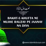 Bakht-E-Khufta Ne Mujhe Rauzay Pe Jaanay Na Diya