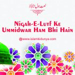 Nigah-e-Lutf Ke Ummidwar Ham Bhi Hain