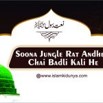 Soona Jungle Rat Andheri Chai Badli Kali He