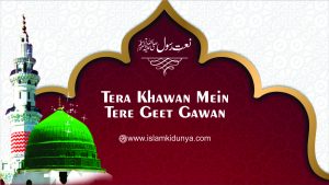 Sarwar kahoon Ke Maalik-o-Maula Kahoon Tujhe Lyrics