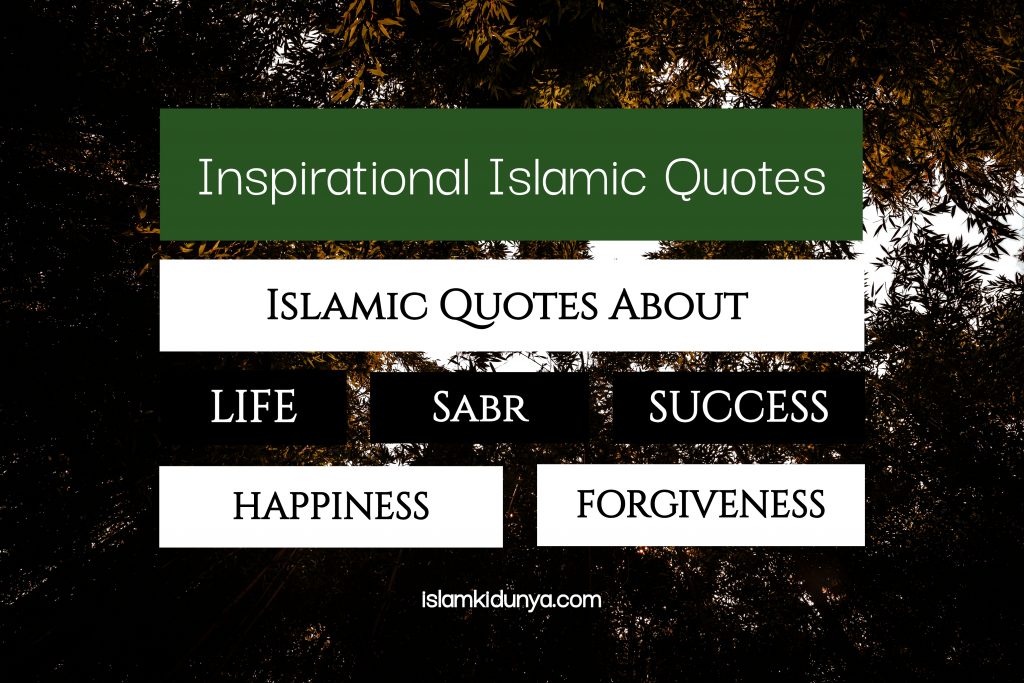 Islamic Quotes About Life, Sabr, Forgiveness, Happiness, Society, Success etc