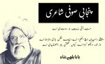 منہ آئی بات نہ رہندی اے ایتھے دنیاں وچ انھیرا اے، ایہہ تلکن بازی وہڑھا اے، وڑ اندر ویکھو کہڑا اے، کیوں کھفتن باہر ڈھونڈیدی اے