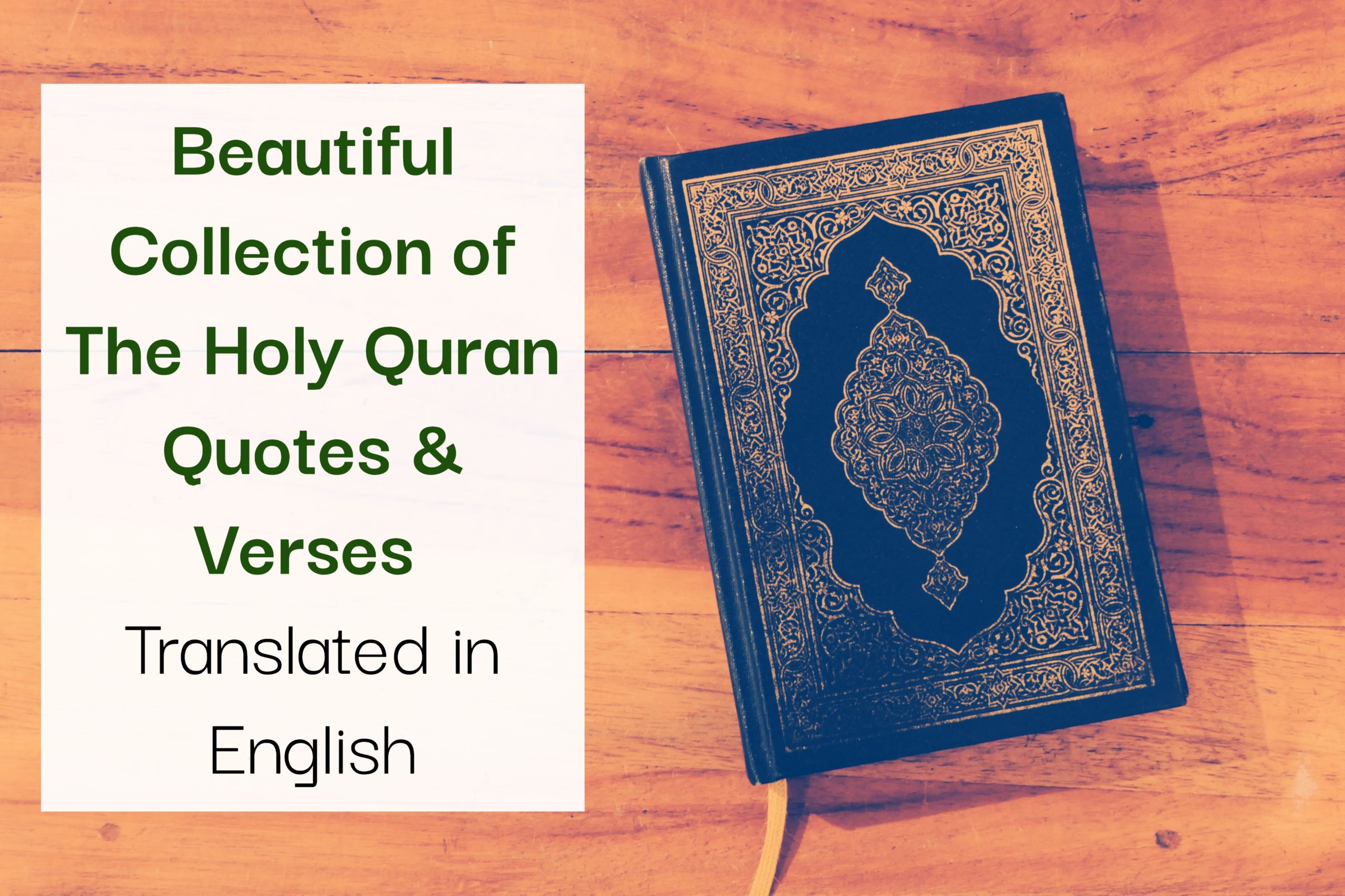Beautiful Collection of The Holy Quran Quotes & Verses 