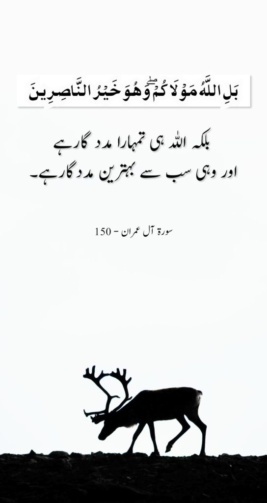 Beautiful Quran Quotes / Verses In Urdu [With Pictures]