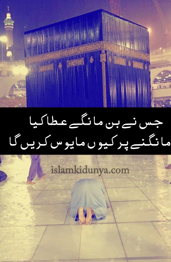 Islamic Quotes Urdu free download “Best islamic quotes with images