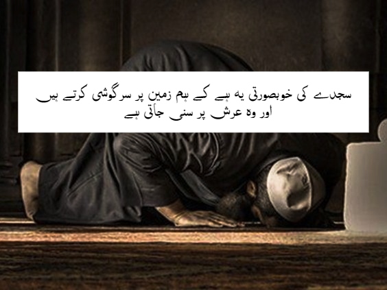 Islamic Quotes in Urdu |  Best Urdu Islamic Quotes With Images