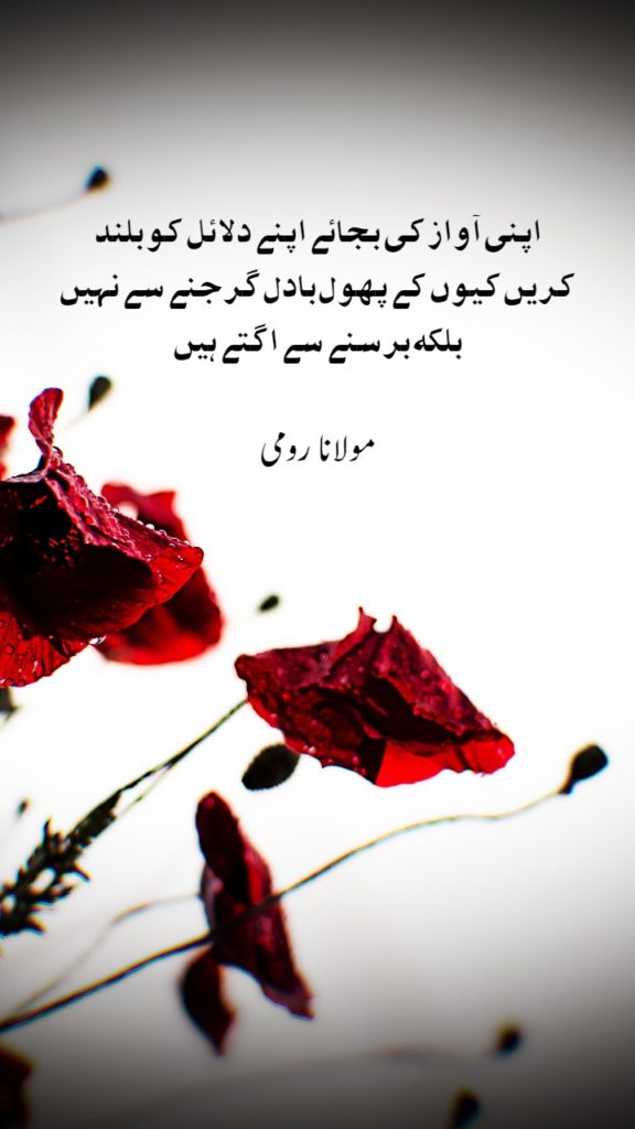 Best Urdu Quotes With Beautiful Images