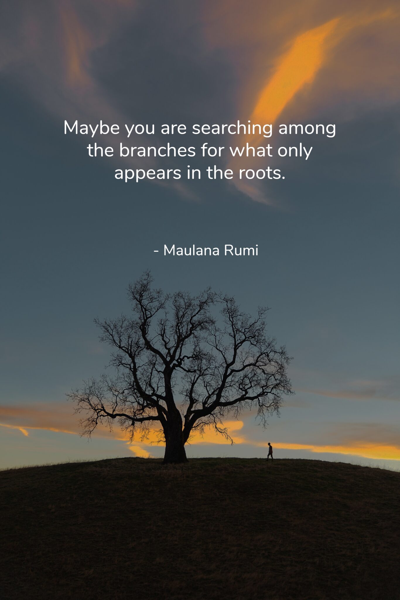 40+ Rumi Wisdom Quotes about Love, Life, Inner Peace and