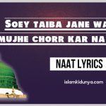 Soey Taiba Jane Walo, Mujhe Chorr Kar Na Jana – Lyrics