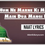 Hum Ne Marne Ki Madine Main Dua Mangi Hai Lyrics