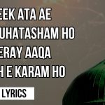 Bheek Ata Ae Nabi Muhatasham Ho – Naat Lyrics