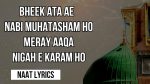 Bheek Ata Ae Nabi Muhatasham Ho - Naat Lyrics