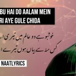 Khushbu hai Do Aalam mein Teri Aye Gule Chida – Naat Lyrics
