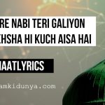 Shehre Nabi Teri Galiyo Ka – Naat Lyrics