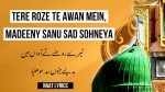 Tere Roze Te Awan Mein - تیرے روضے تے آواں میں - Naat Lyrics