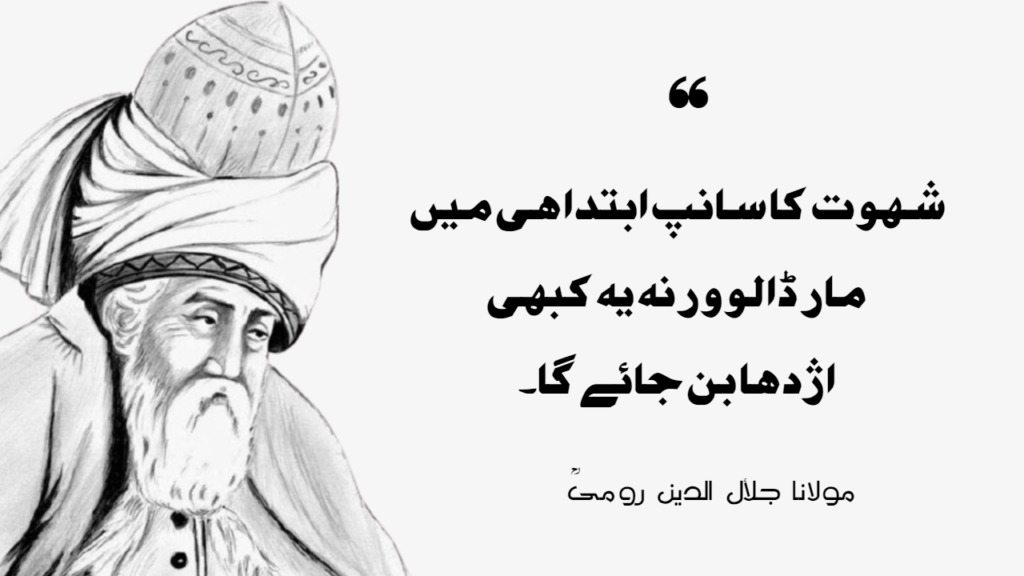 Molana Jalaluddin Rumi Quotes in Urdu