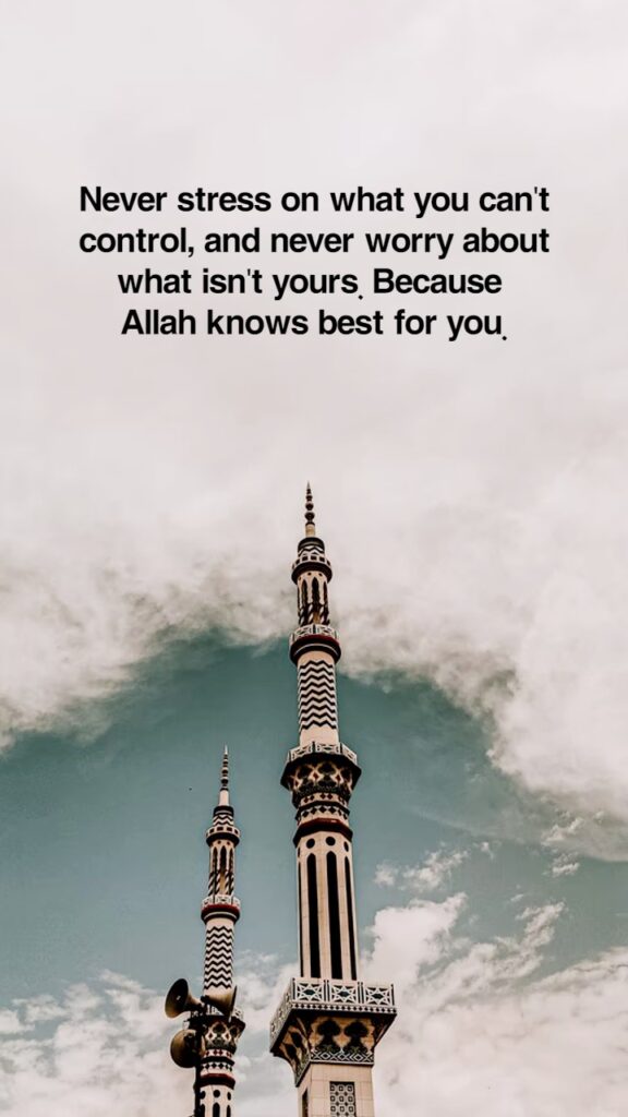 Islamic Quotes about Trust in ALLAH