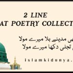 2 Line Naat Poetry Collection | Naat Poety Status Wallpapers