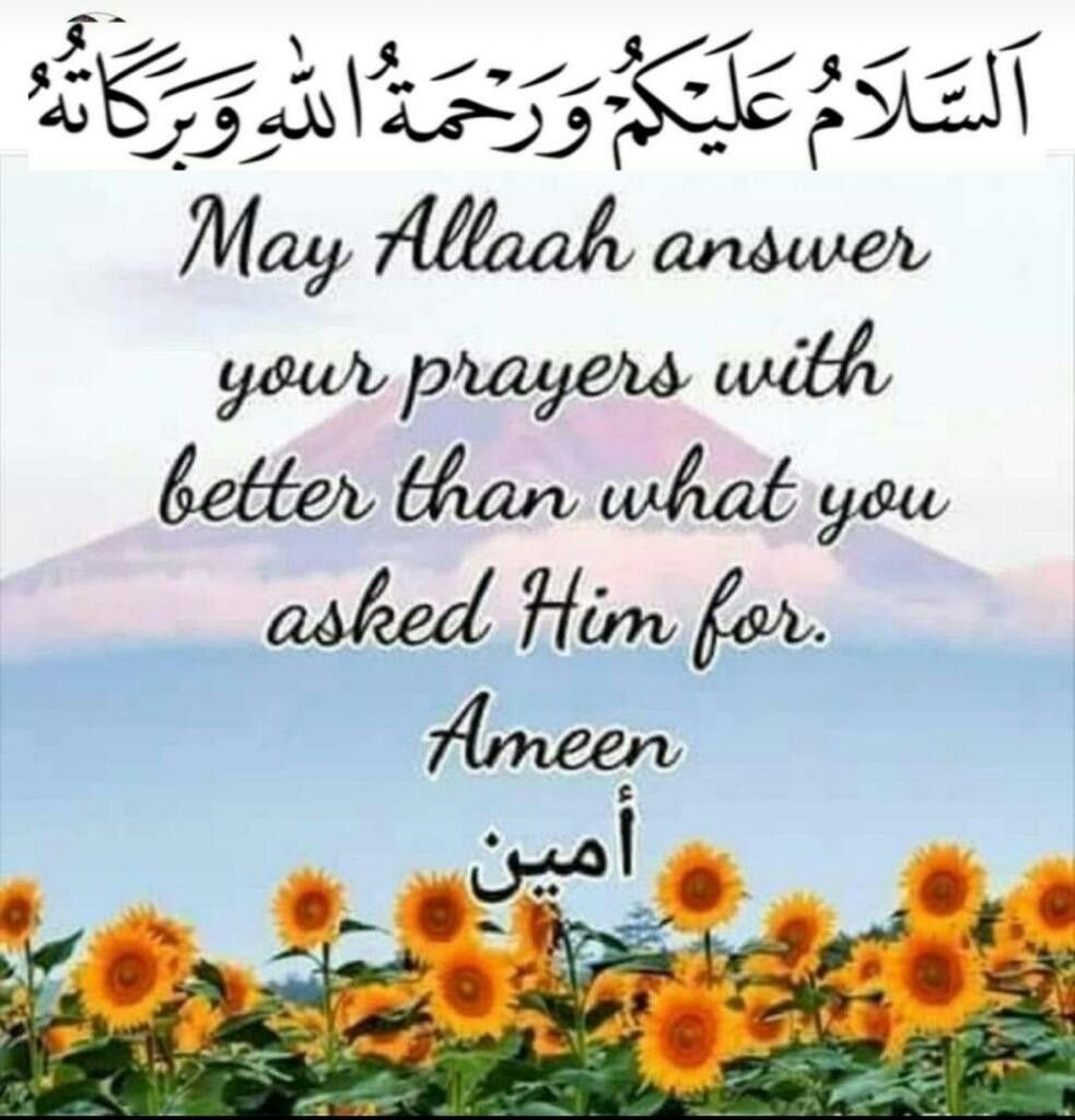 Good Morning Quotes for Muslims - Islamic Good Morning Duas/Quotes