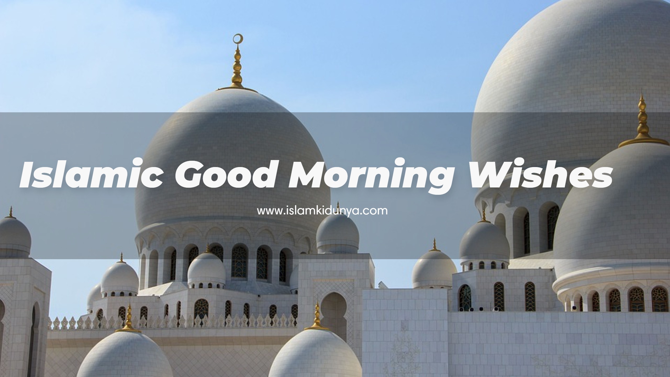 Good Morning Quotes for Muslims - Islamic Good Morning Duas/Quotes