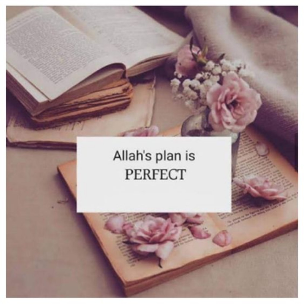 Beautiful Muslim DP Images for WhatsApp & Facebook | Islamic DPs