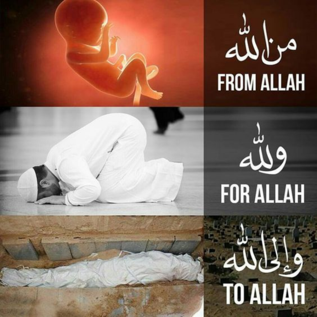 Beautiful Muslim DP Images for WhatsApp & Facebook | Islamic DPs