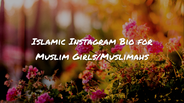 150+ Islamic Instagram Bio for Muslim Girls/Muslimahs